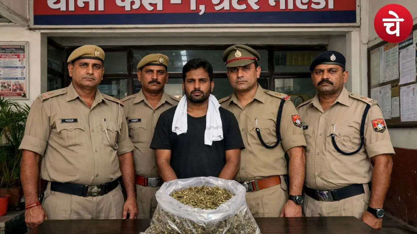 फेस-1 थाना पुलिस ने गांजा विक्रेता को किया गिरफ्तार