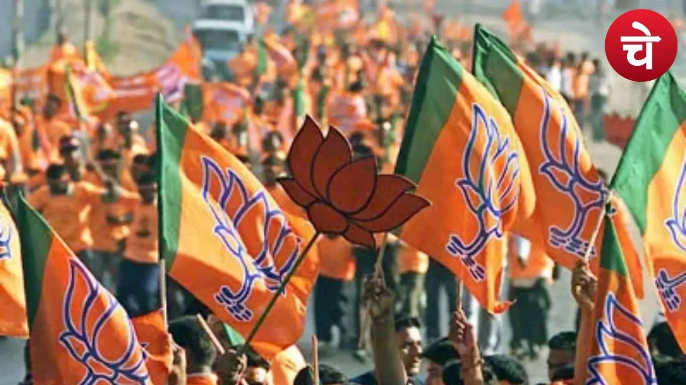 बीजेपी संगठन में बदलाव