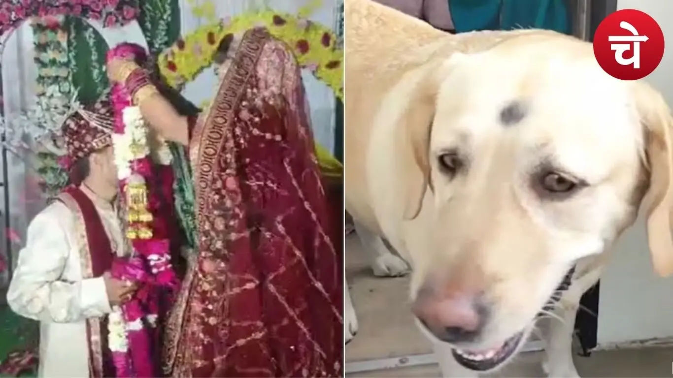 शादी का मंडप बना रणक्षेत्र