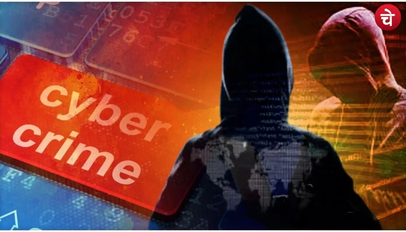 Cyber Fraud