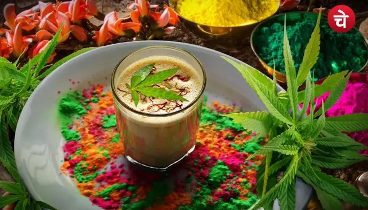 होली और भांग का क्या है कनेक्शन,  क्या यह भारत में है कानूनी रूप से वैध?
