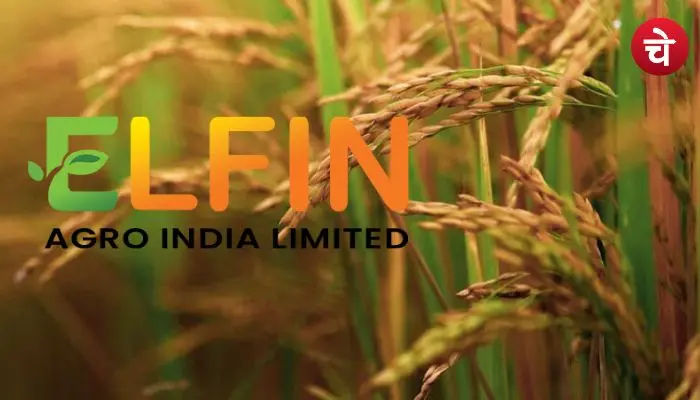 Elfin Agro IPO