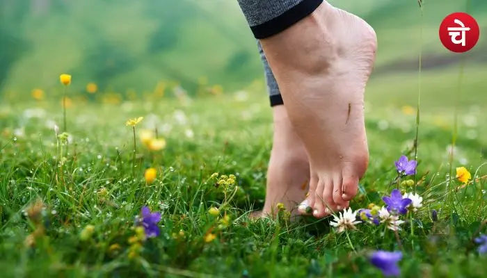 Grass Walking Benefits