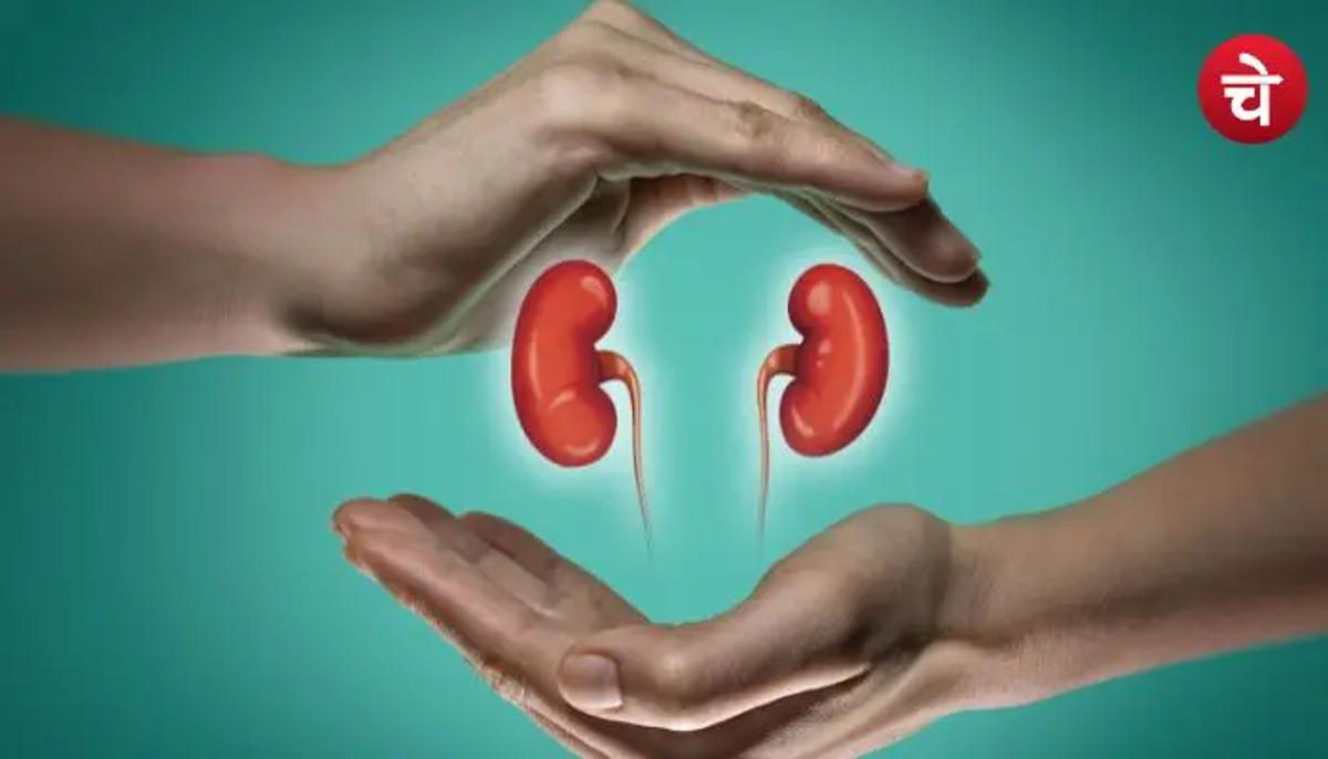 किडनी को कैसे रखें स्वस्थ? ये 5 ड्रिंक्स हैं बेस्ट ऑप्शन