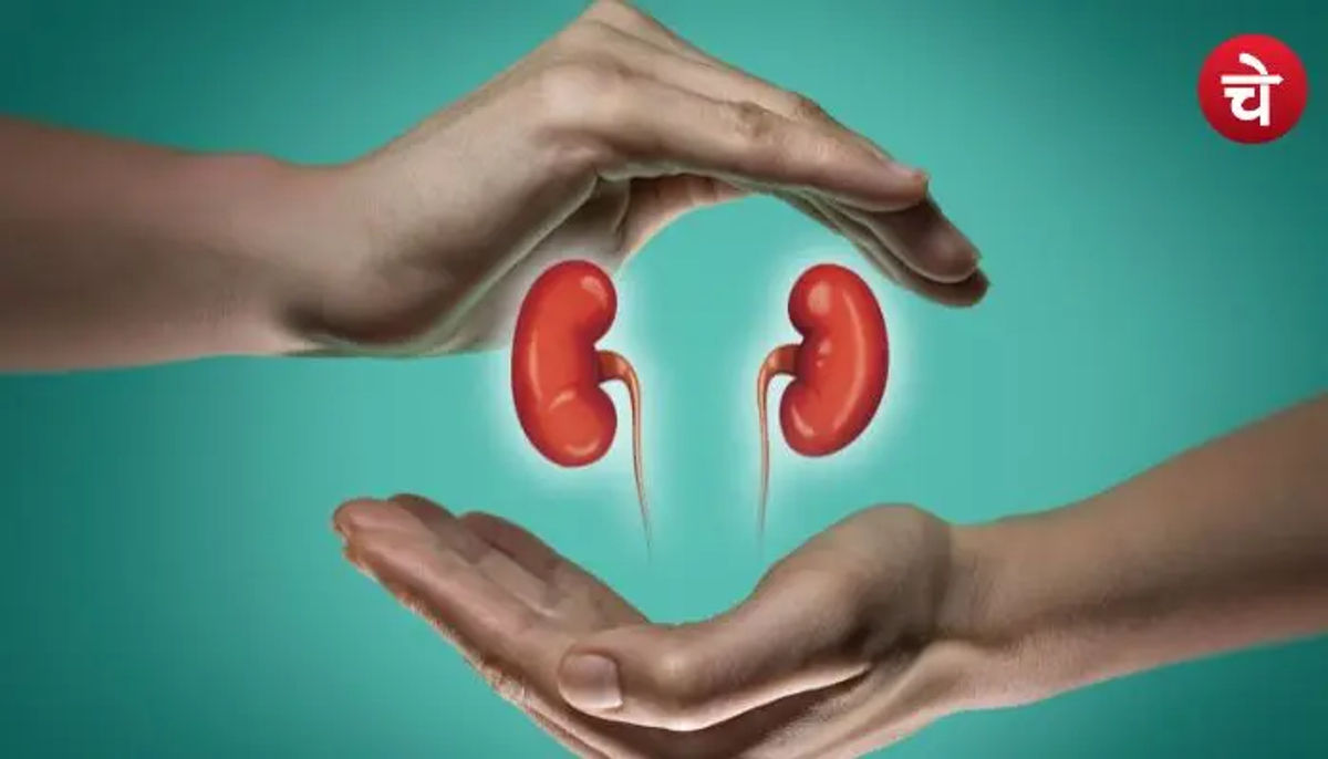 किडनी को कैसे रखें स्वस्थ? ये 5 ड्रिंक्स हैं बेस्ट ऑप्शन