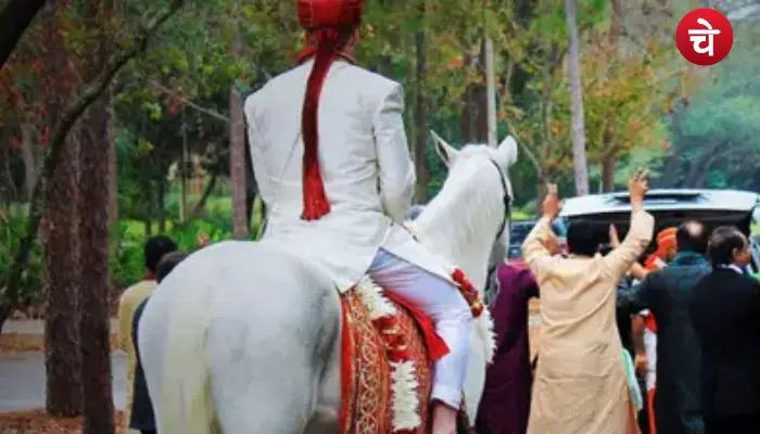 dulha (1)