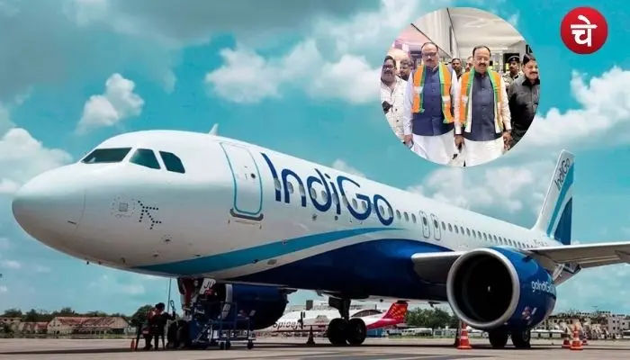 indigo (1)