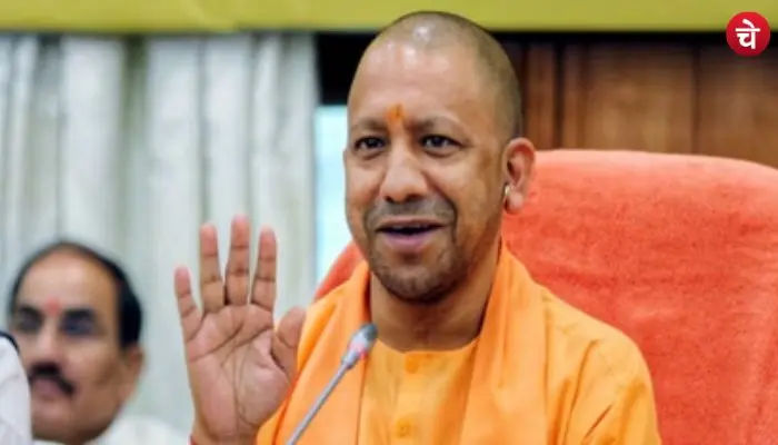 yogi (25)