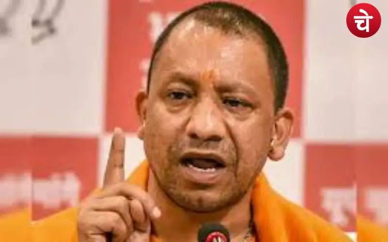 yogi (3)
