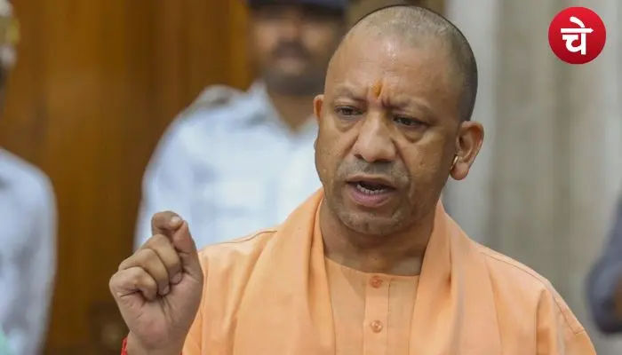 yogi cm (4)