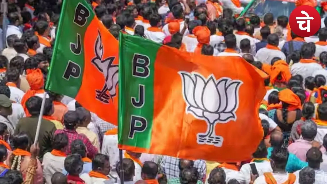 बीजेपी का बैलेंस प्लान