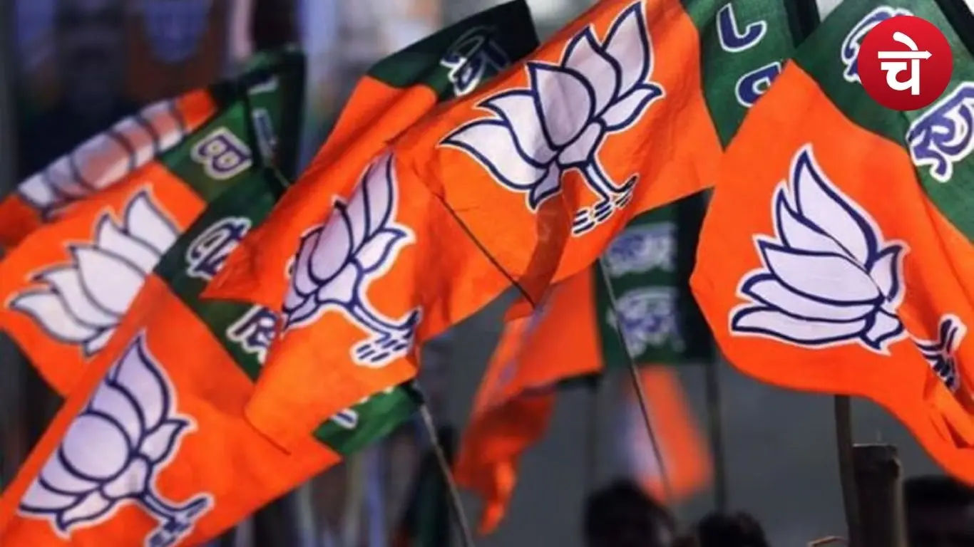 भाजपा का बड़ा संगठनात्मक दांव