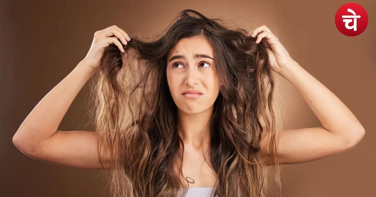 फ्रिजी हेयर का रामबाण इलाज! 20 मिनट में बाल दिखेंगे सिल्की और खूबसूरत