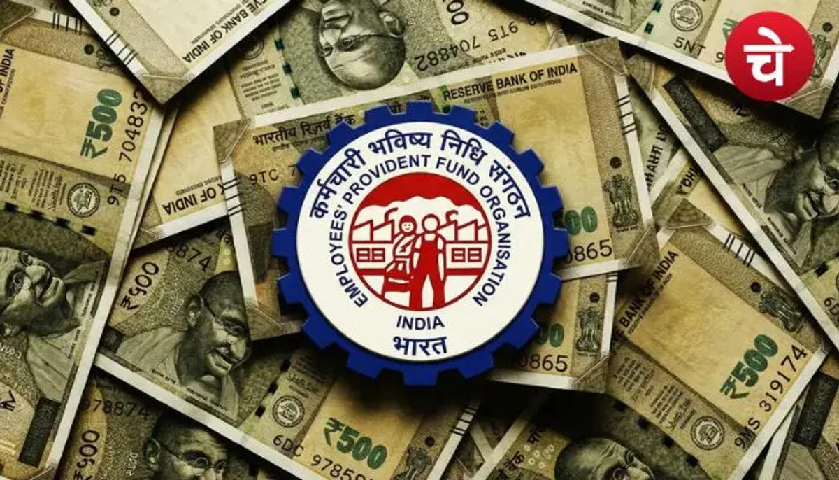 नौकरीपेशा लोग तुरंत चेक करें PF की ये डिटेल, वरना बाद में होगा पछतावा