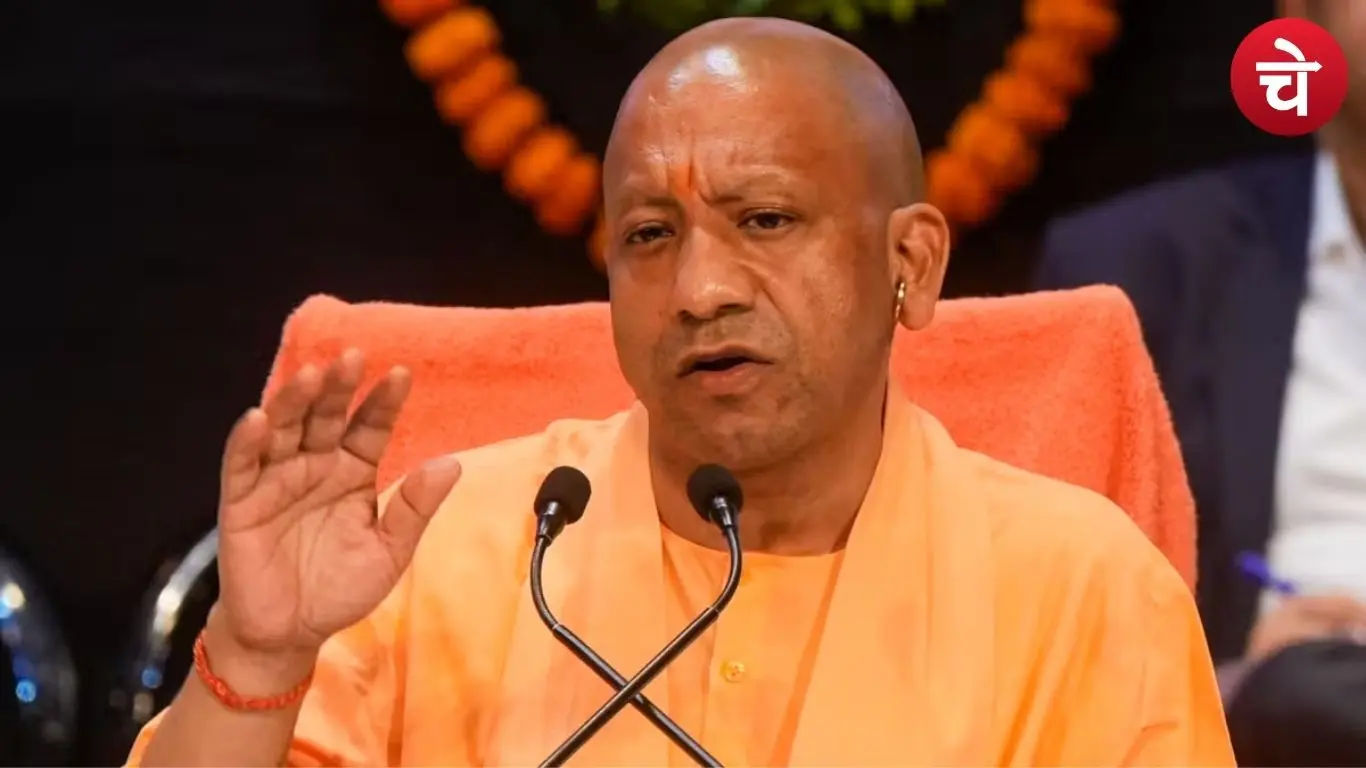 Yogi cabinet expansion buzz grow
