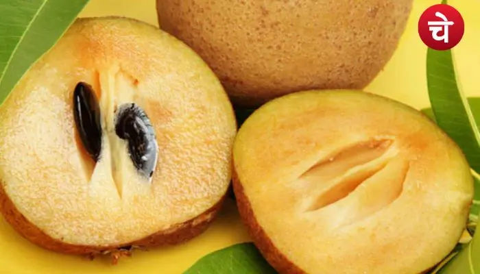 chikoo in english
