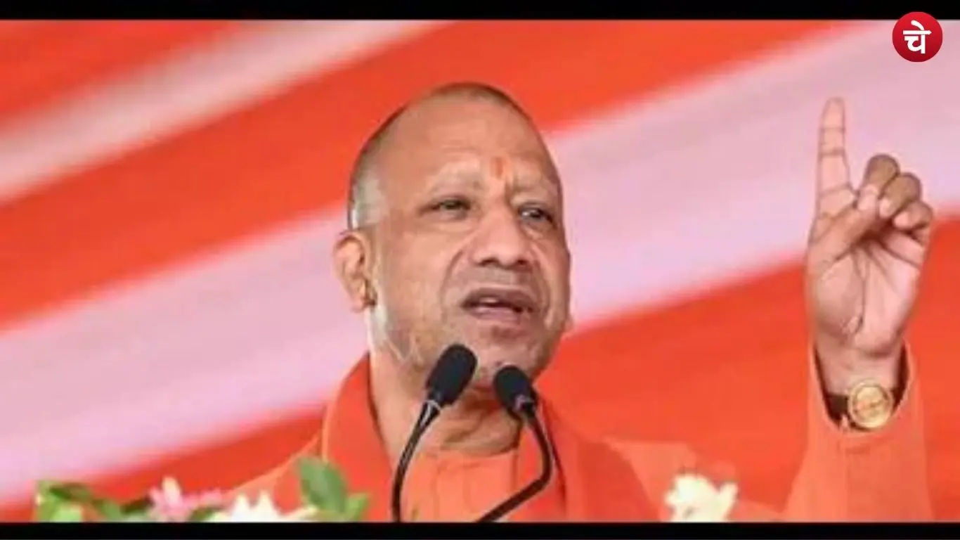 cm yogi (33)
