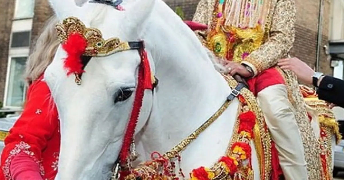 dulha