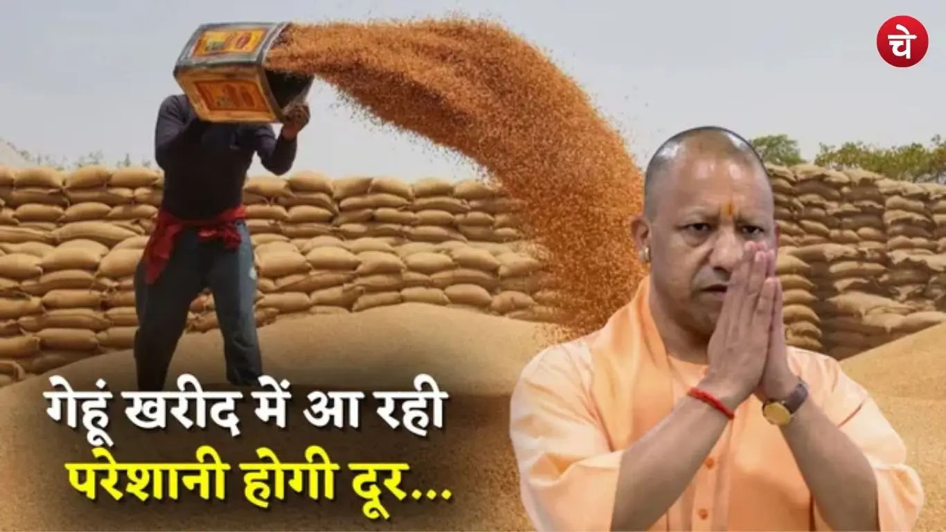 yogi gehun