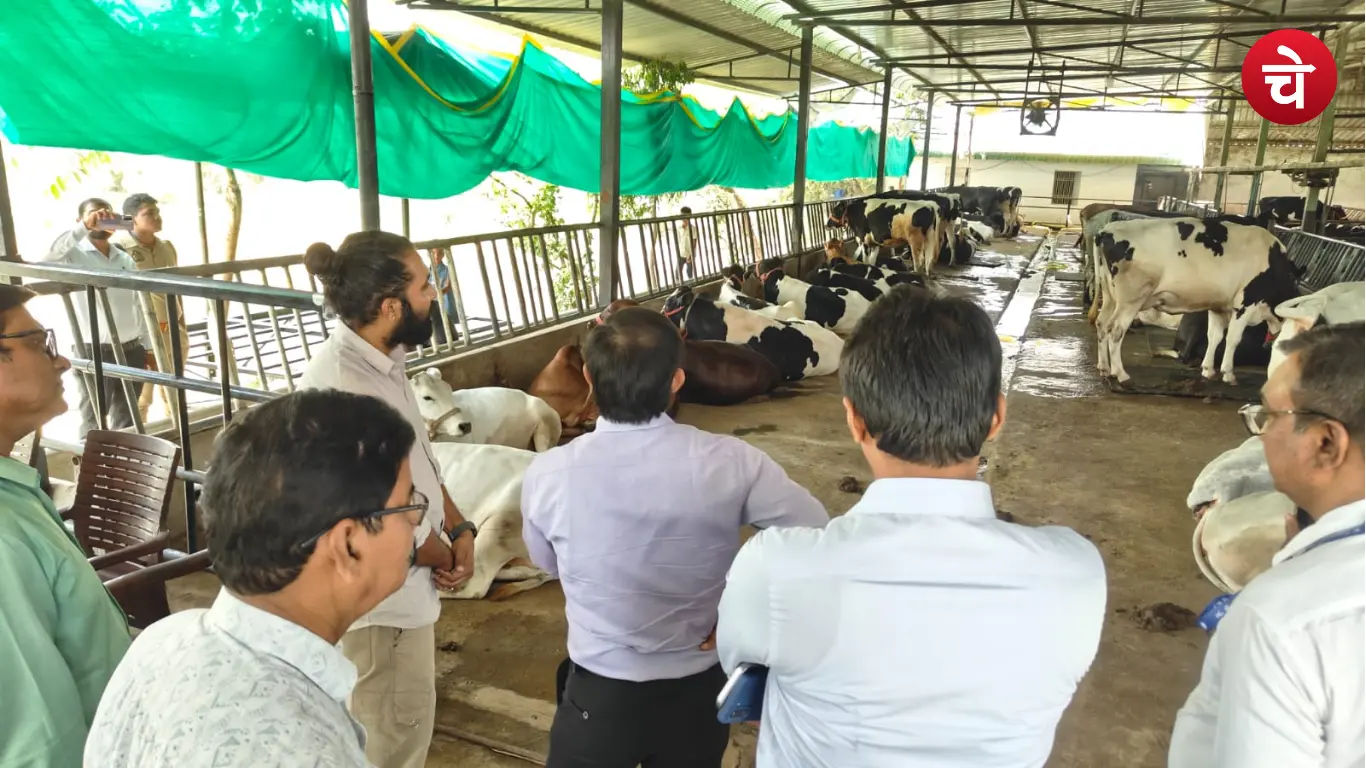 ग्रामीण ऊर्जा योजना चंदौली