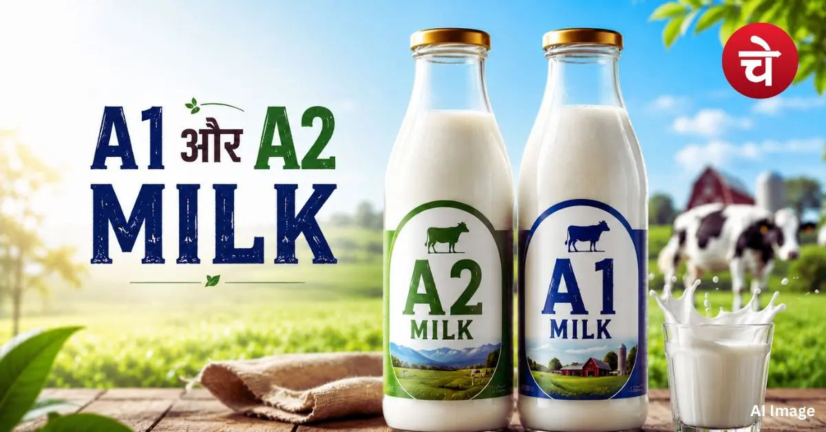A1 and A2 Milk