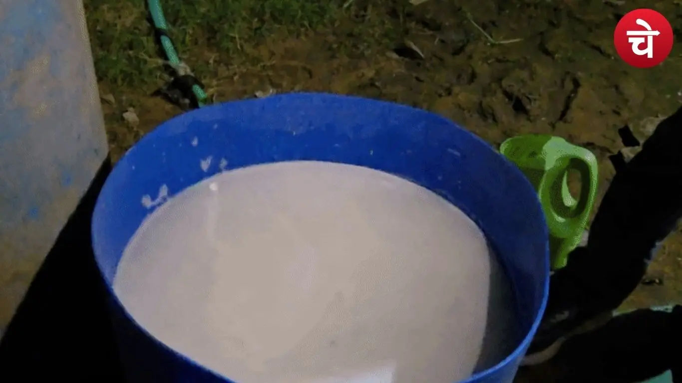 Fake Milk