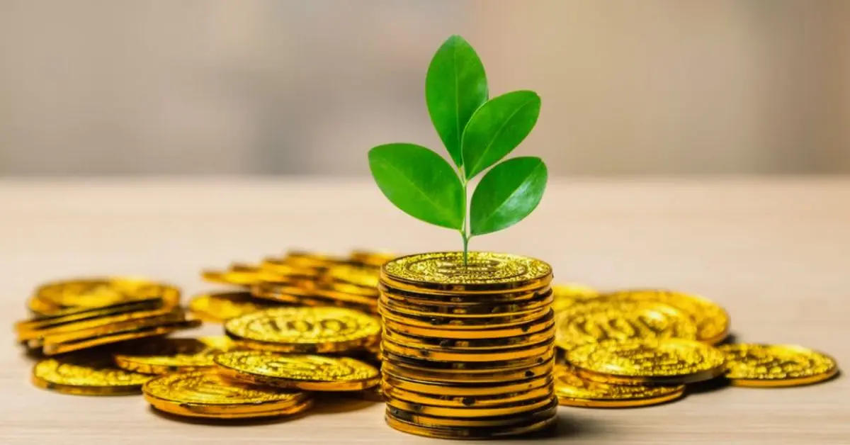 सोने में पैसा लगाने से पहले जान लें EGR क्या है? फायदे सुनकर चौंक जाएंगे