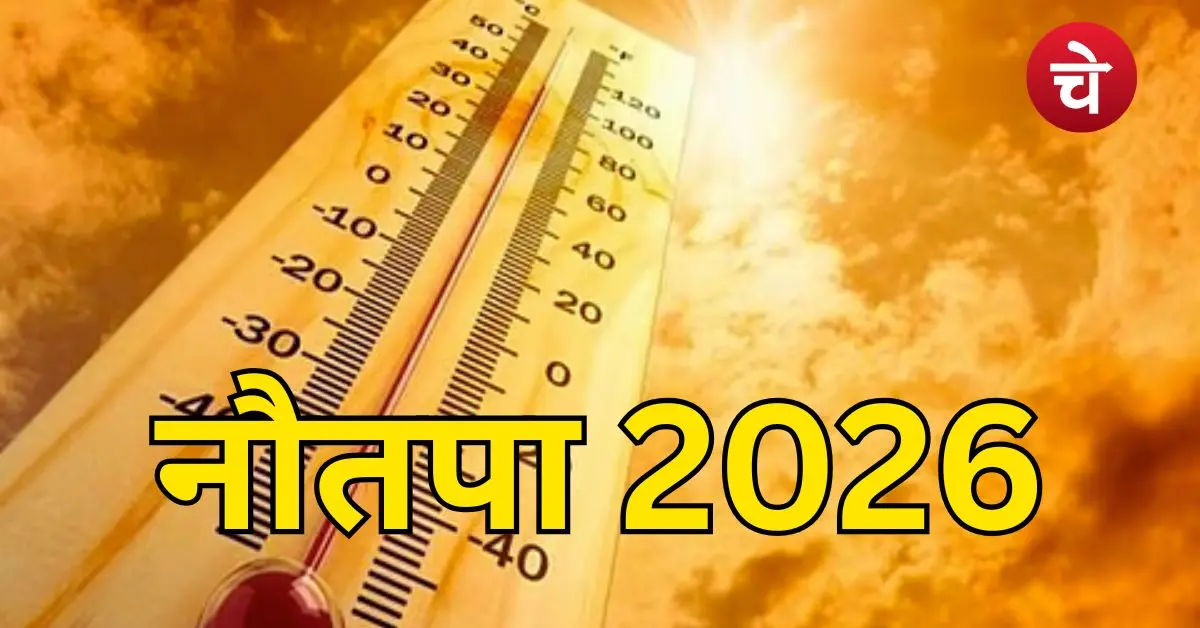 Nautapa 2026