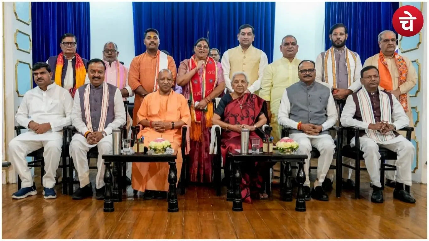 Yogi Cabinet