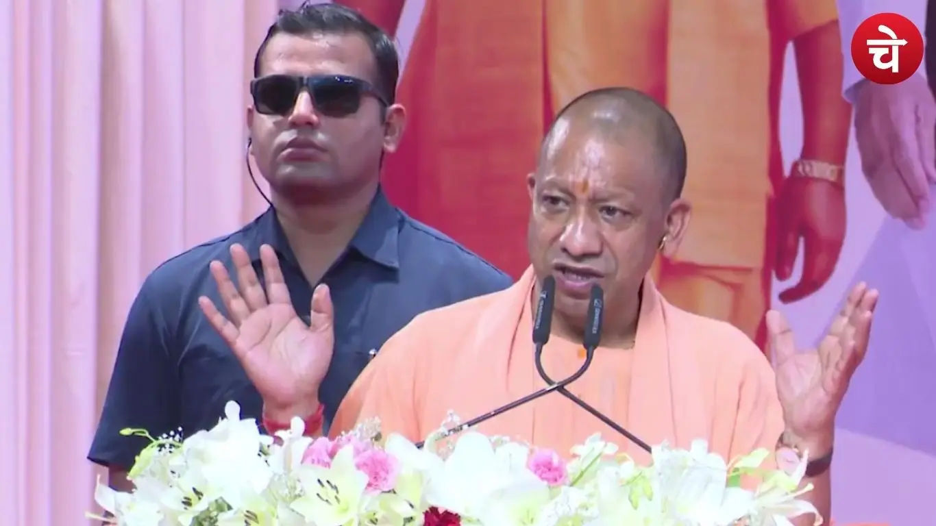 Yogi cm