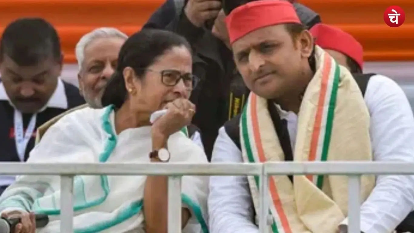 mamta (7)