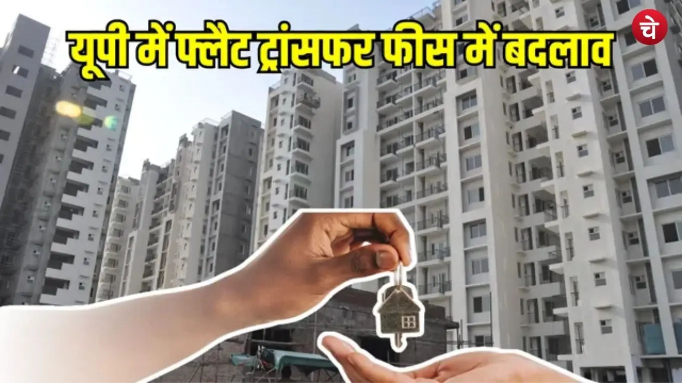 rera (2)