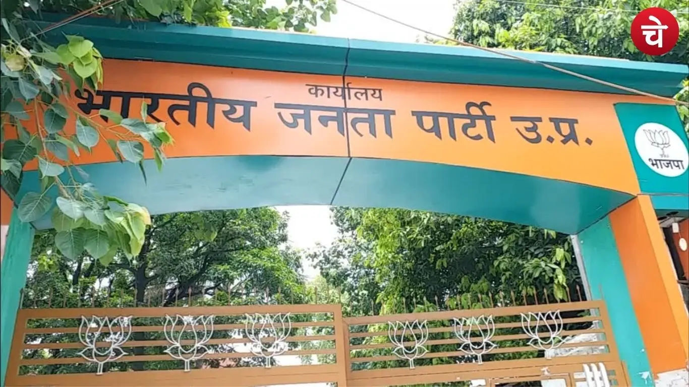BJP Wins Plot