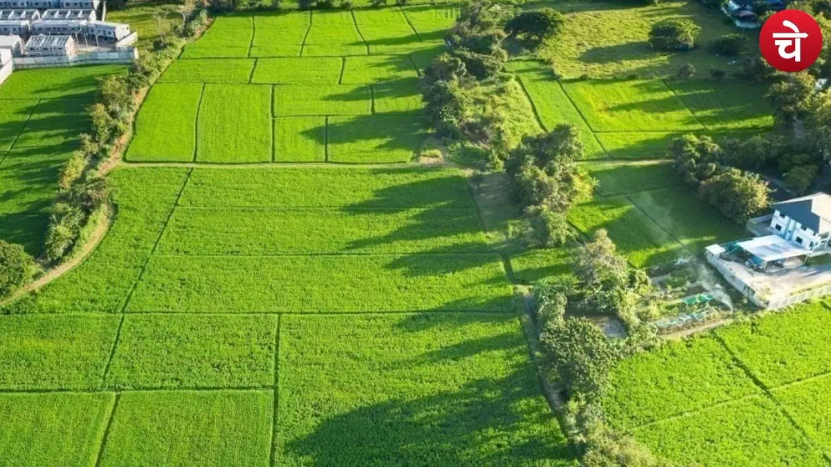 बिहार में जमीन के दामों में बड़ा उछाल, आपके शहर में कितना बढ़ा रेट?