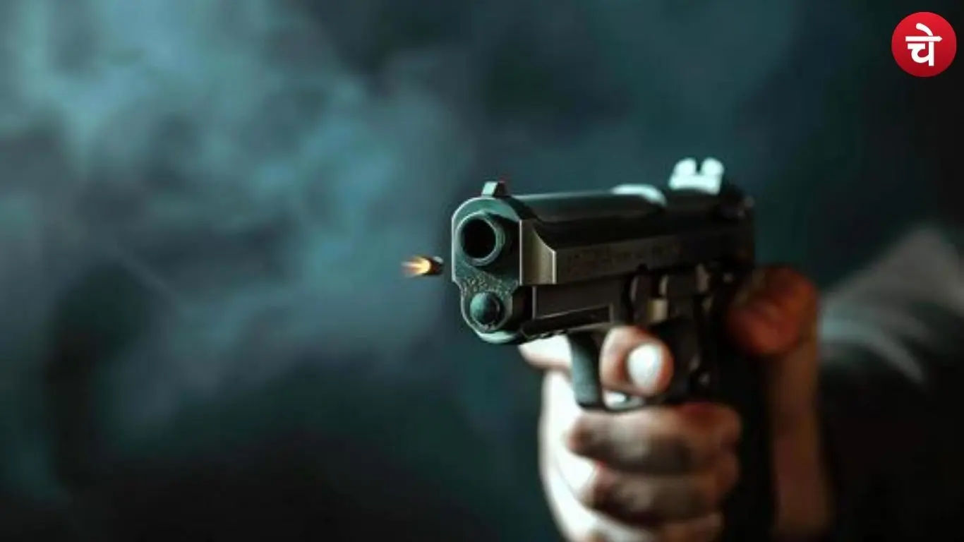 Bullet (Representative image)
