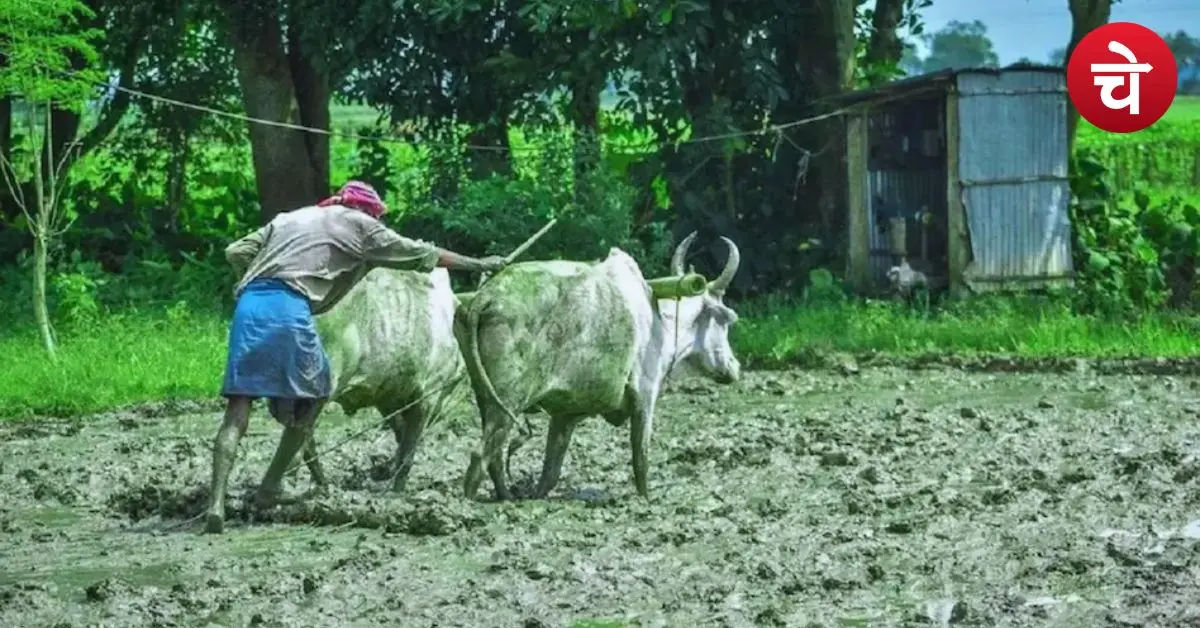 CM Kisan Kalyan Yojana Update