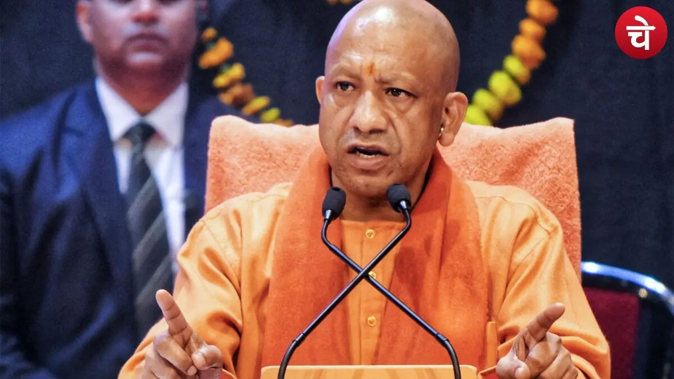 Cm yogi