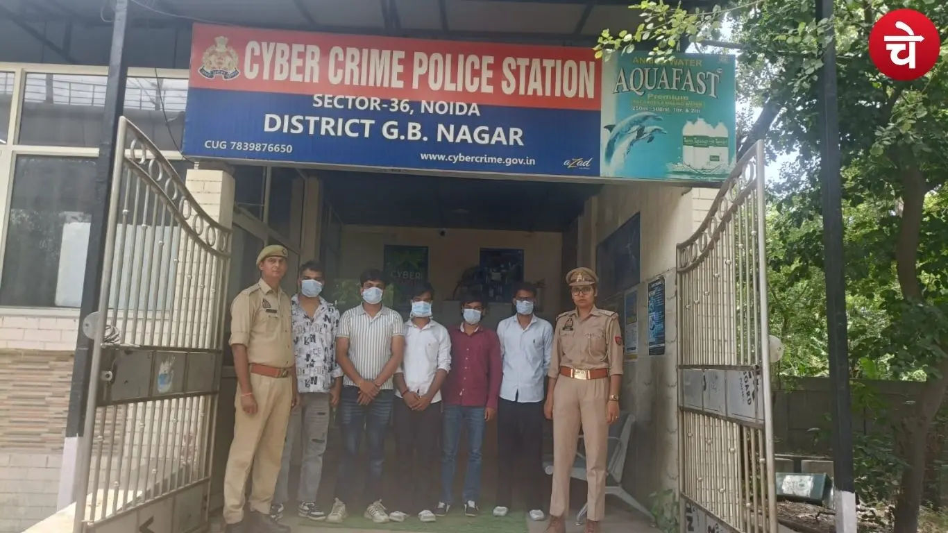 Cyber fraud gang arrested