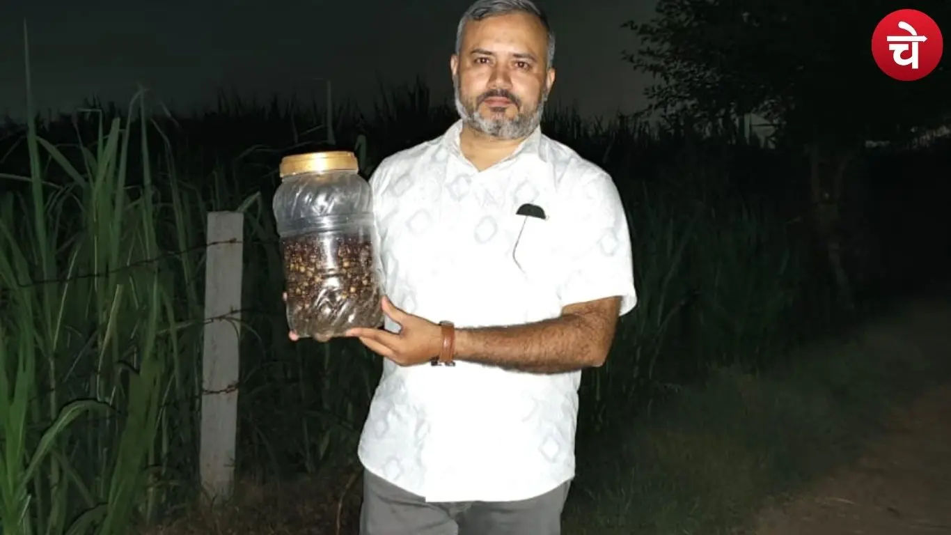 Farmer