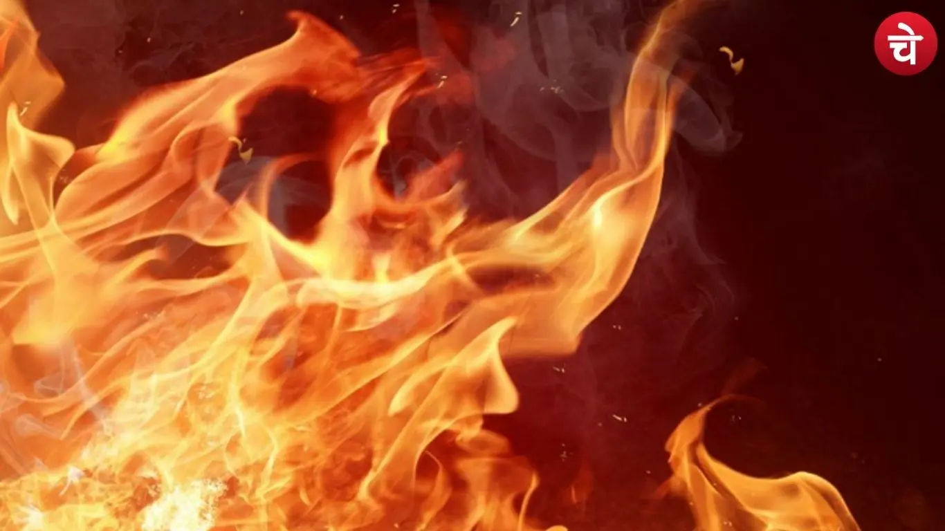 Fire (Representative image)