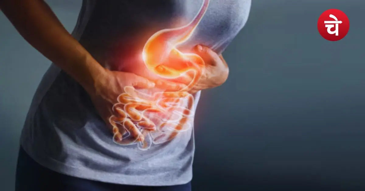 Gall Bladder