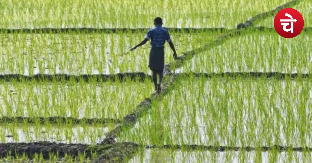 PM Kisan Beneficiary List