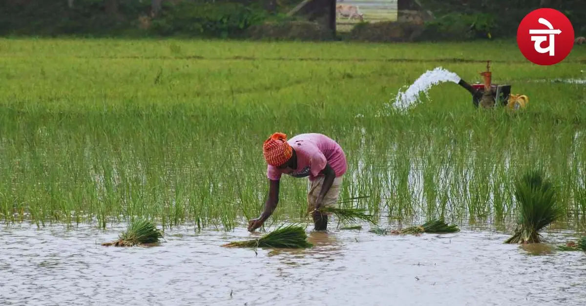 PM Kisan eKYC