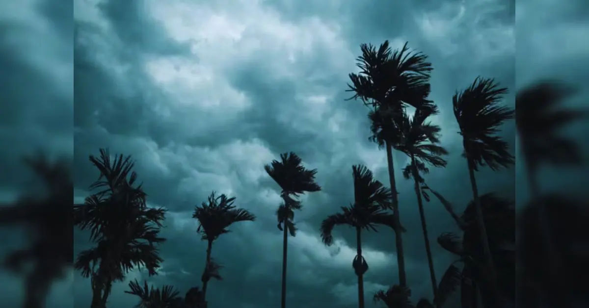 Today's Weather
