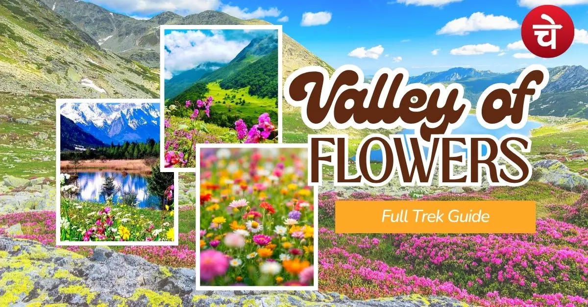 Valley of Flowers में एंट्री से पहले क्या-क्या चाहिए? यहां है पूरी जानकारी
