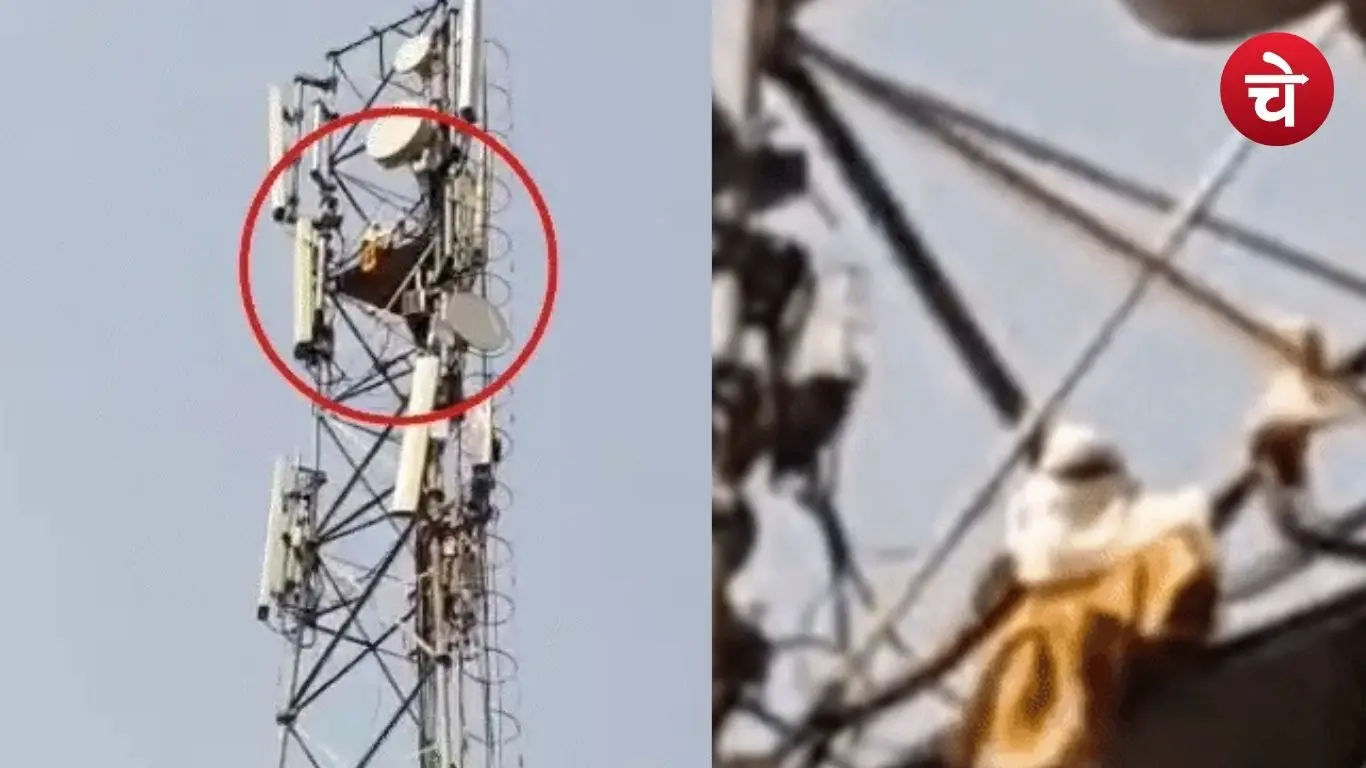 Women's Mobile Tower