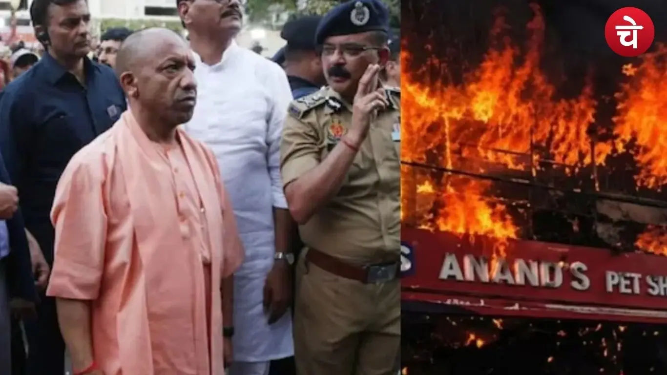 Yogi government Big Action