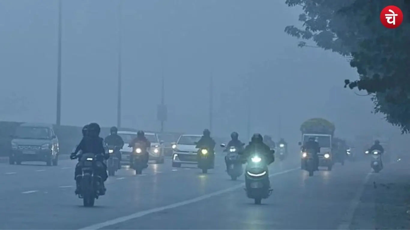 barish 2