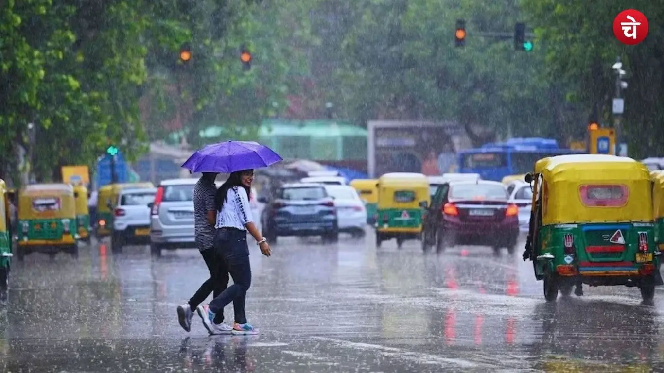 barish (6)