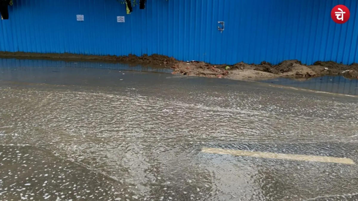 नोएडा में सड़कों पर जल-जमाव और जाम, कई जगह पेड़ टूटे